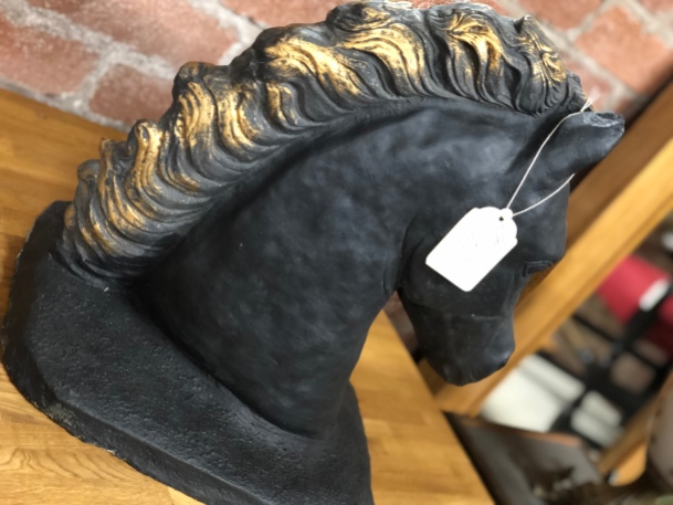 horses head